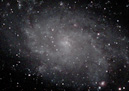 M33